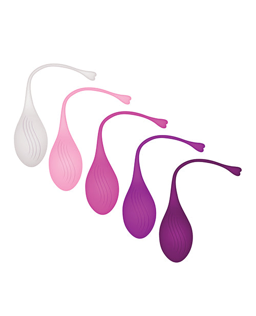 Evolved Tight & Delight 5 pc Weighted Kegel Ball Set